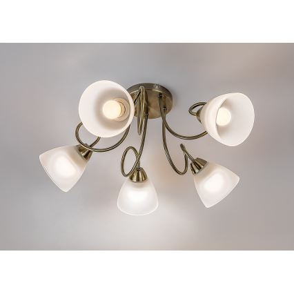Rabalux - Stropni luster za površinsku montažu 5xE27/60W/230V