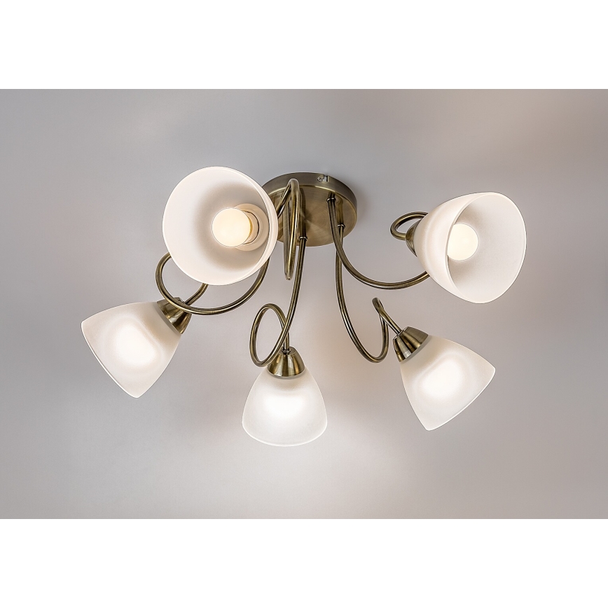 Rabalux - Stropni luster za površinsku montažu 5xE27/60W/230V