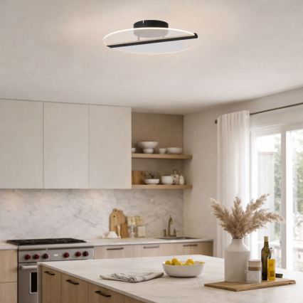 Rabalux - LED stropna svjetiljka LED/20W/230V 3000 prom. 41 cm crna/prozirna