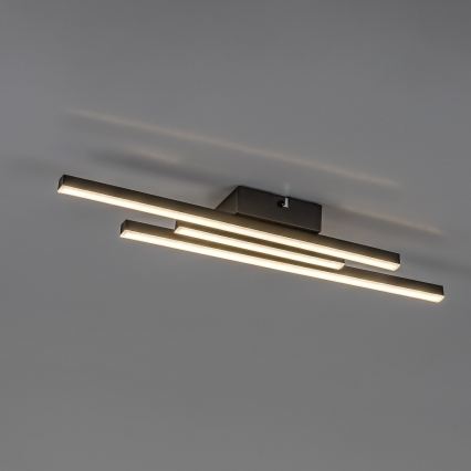 Rabalux - stropna LED svjetiljka LED/18W/230V 4000K crna