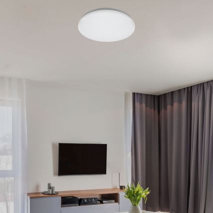 Rabalux - LED stropna svjetiljka LED/24W/230V 4000K promjer 37,5 cm