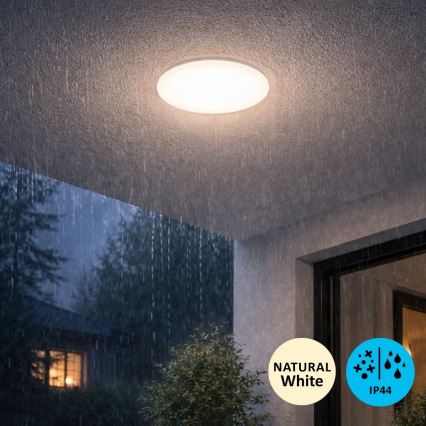 Rabalux - LED stropno svjetlo za kupaonicu LED/12W/230V IP44 4000K pr. 25,5 cm