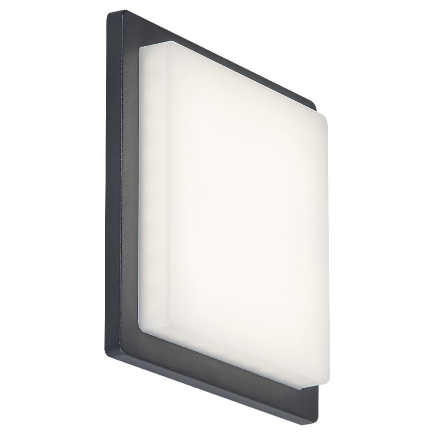 Rabalux - LED Vanjska zidna svjetiljka LED/8W/230V IP65