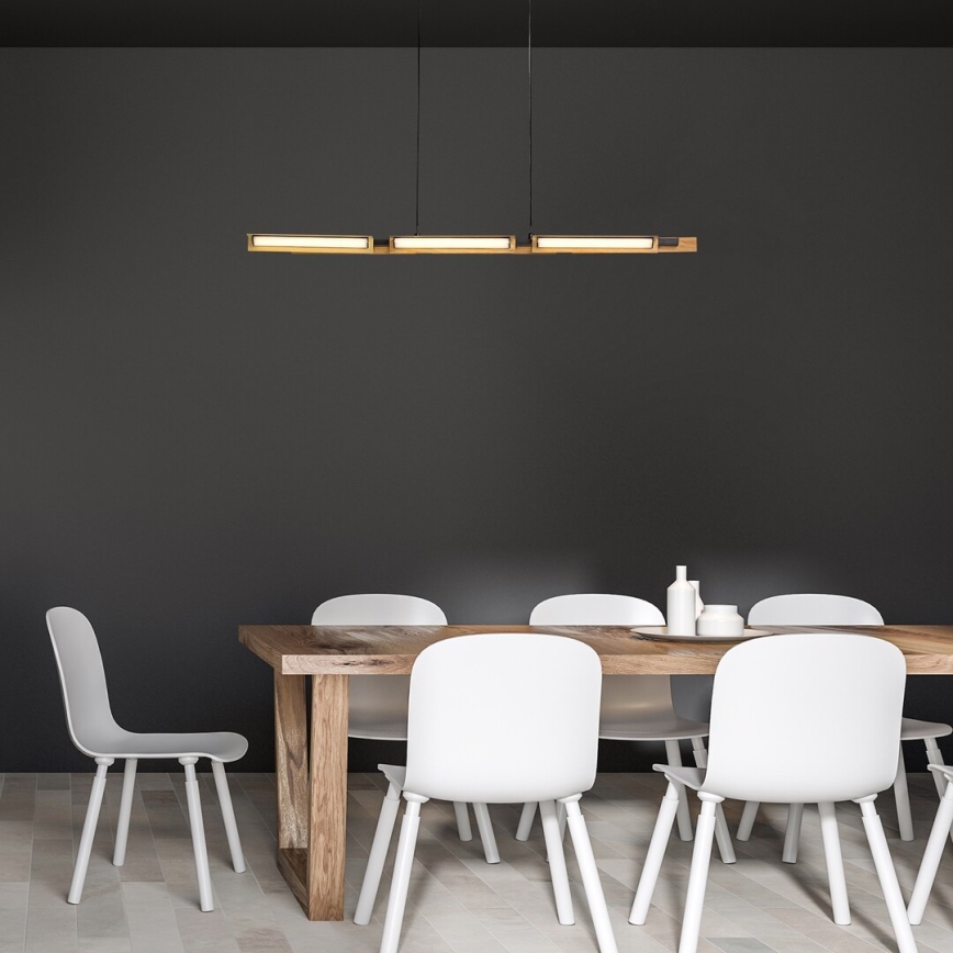 Rabalux - LED Luster na sajli LED/30W/230V 3000K