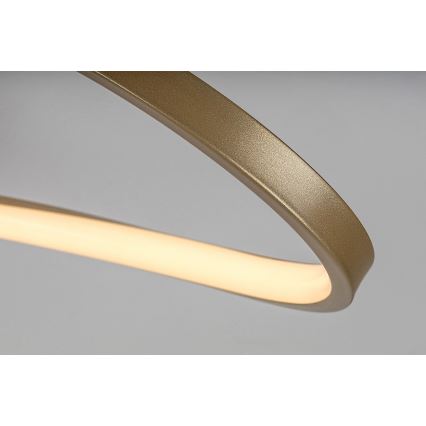 Rabalux - LED Stropna svjetiljka LED/30W/230V 3000K