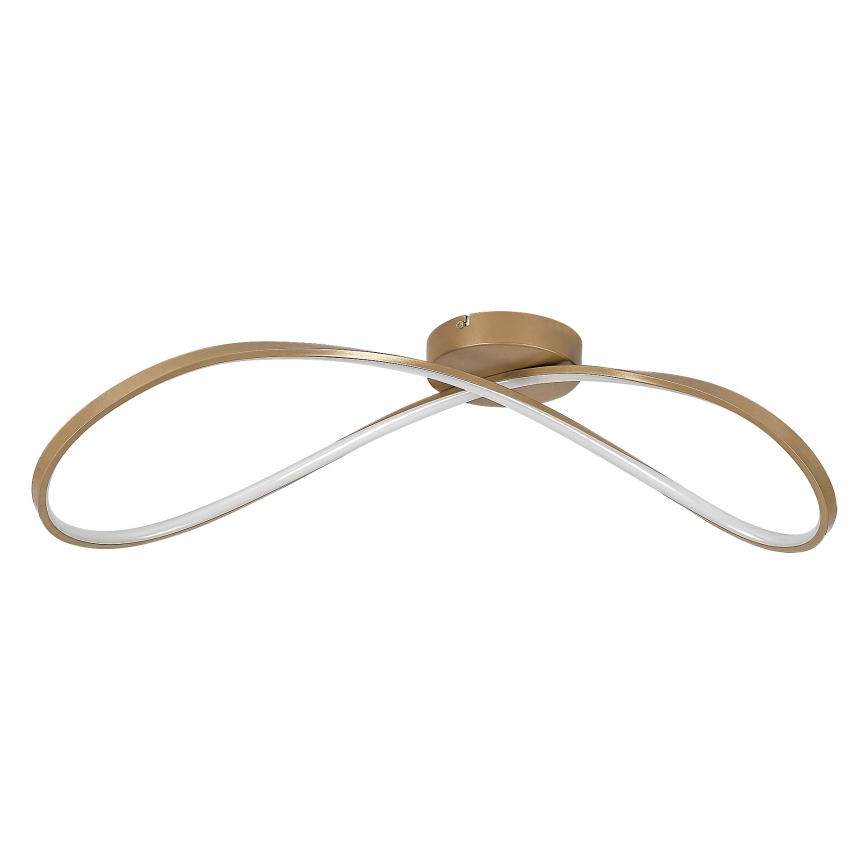 Rabalux - LED Stropna svjetiljka LED/30W/230V 3000K