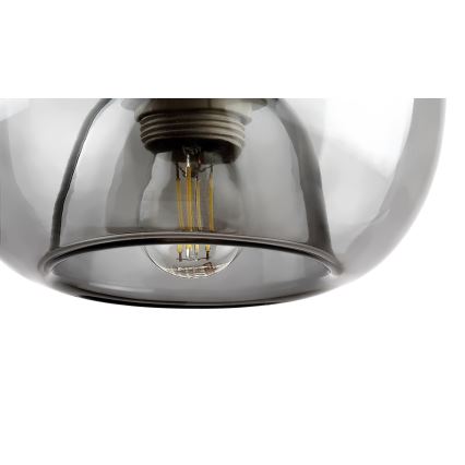 Rabalux - Luster na sajli 1xE27/60W/230V
