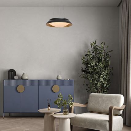 Rabalux - LED Luster na sajli LED/24W/230V 3000K