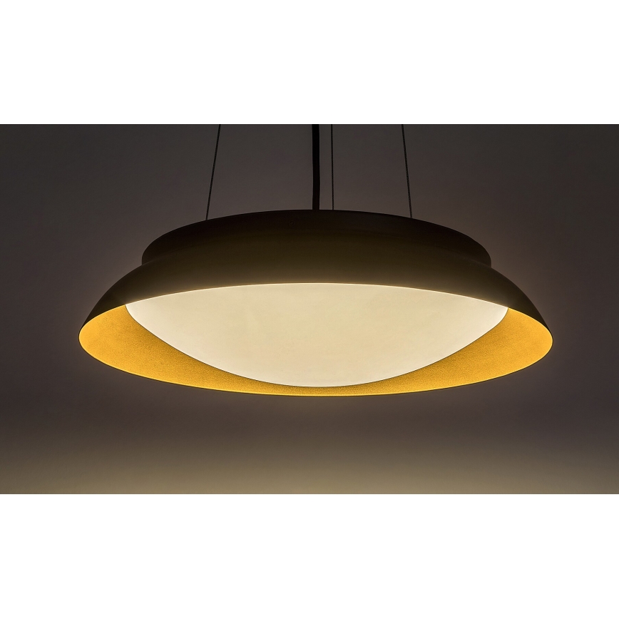 Rabalux - LED Luster na sajli LED/24W/230V 3000K