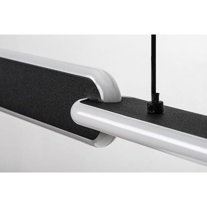Rabalux - LED luster na užetu LED/36W/230V 3000K/4000K