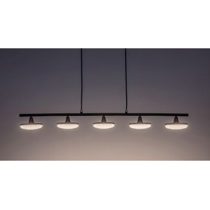 Rabalux - LED Luster na sajli 5xLED/4W/230V 3000K
