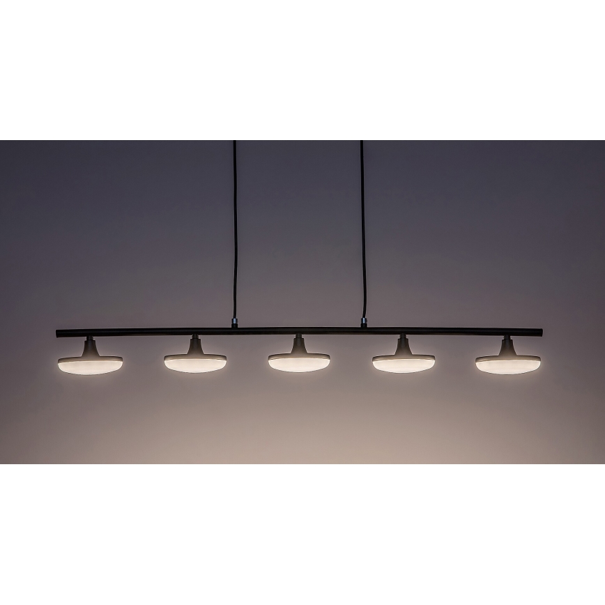 Rabalux - LED Luster na sajli 5xLED/4W/230V 3000K