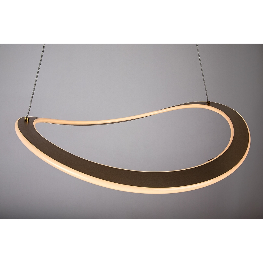 Rabalux - LED luster na užetu LED/40W/230V 3000K