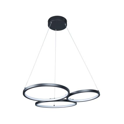 Rabalux - LED Luster na sajli LED/38W/230V crna