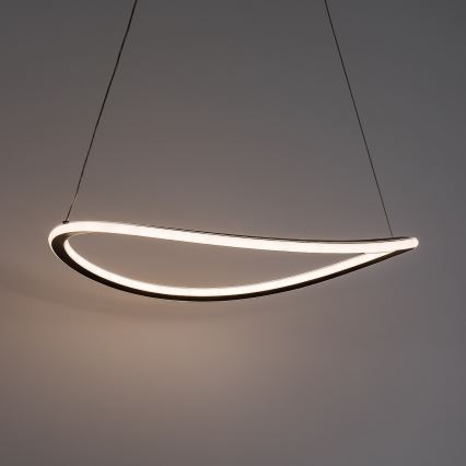 Rabalux - LED luster na sajli s mogućnošću prigušenja LED/45W/230V 3000-6500K + daljinsko upravljanje