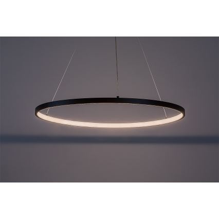 Rabalux - LED luster na sajli LED/55W/230V 3000K