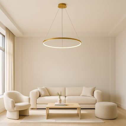 Rabalux - LED luster na sajli LED/55W/230V 3000K