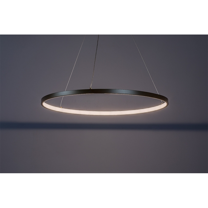 Rabalux - LED luster na sajli LED/55W/230V 3000K