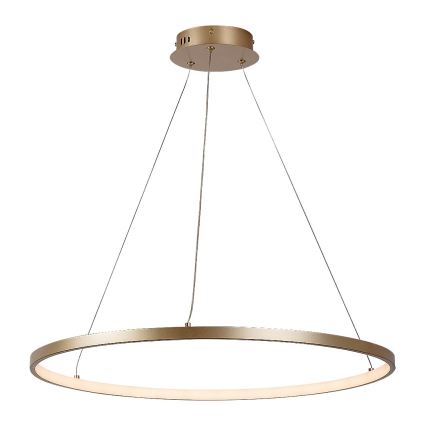 Rabalux - LED luster na sajli LED/55W/230V 3000K