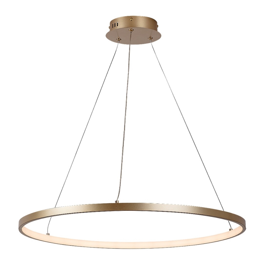 Rabalux - LED luster na sajli LED/55W/230V 3000K