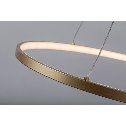 Rabalux - LED luster na sajli LED/55W/230V 3000K
