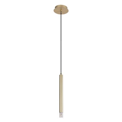 Rabalux - Luster na sajli 1xG9/5W/230V zlatna