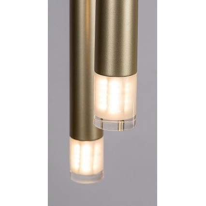 Rabalux - Luster na sajli 5xG9/5W/230V zlatna