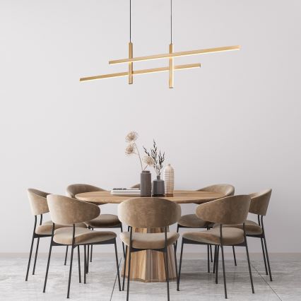 Rabalux - LED Luster na sajli LED/40W/230V 3000K
