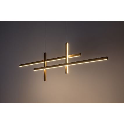 Rabalux - LED Luster na sajli LED/40W/230V 3000K
