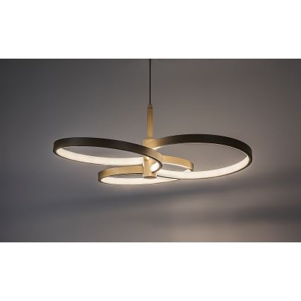 Rabalux - LED luster na sajli s mogućnošću prigušivanja LED/50W/230V 3000-6500K + daljinsko upravljanje