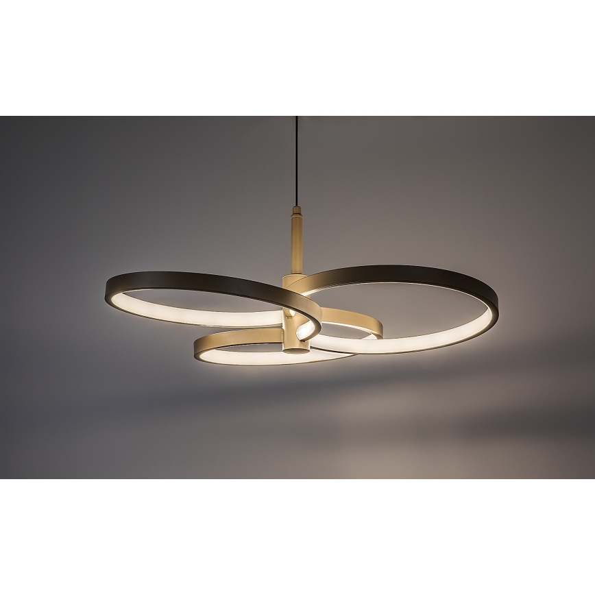 Rabalux - LED luster na sajli s mogućnošću prigušivanja LED/50W/230V 3000-6500K + daljinsko upravljanje