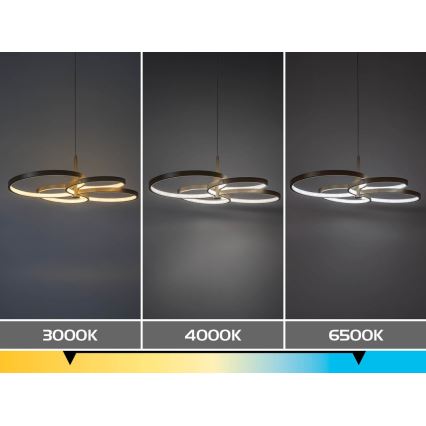 Rabalux - LED luster na sajli s mogućnošću prigušivanja LED/70W/230V 3000-6500K + daljinski upravljač