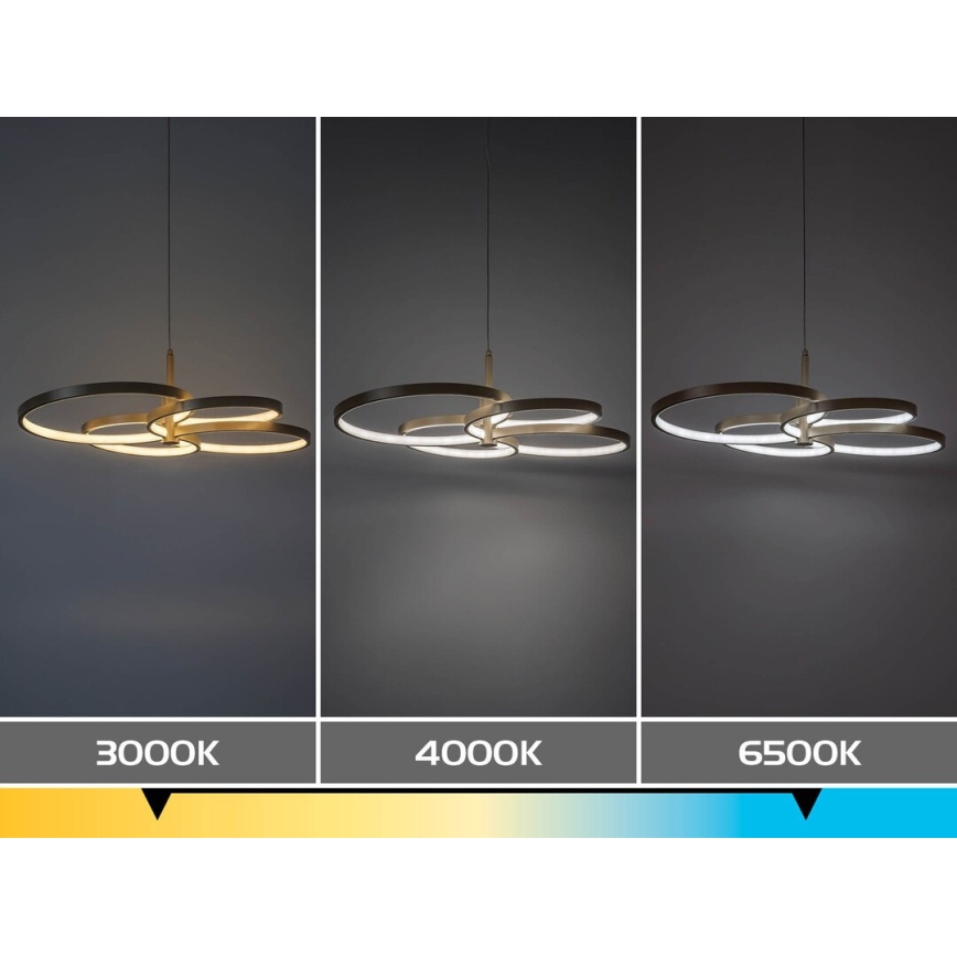 Rabalux - LED luster na sajli s mogućnošću prigušivanja LED/70W/230V 3000-6500K + daljinski upravljač