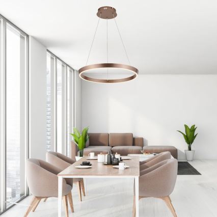 Rabalux - LED luster na sajli s prigušivanjem LED/36W/230V 3000-6500K + daljinski upravljač