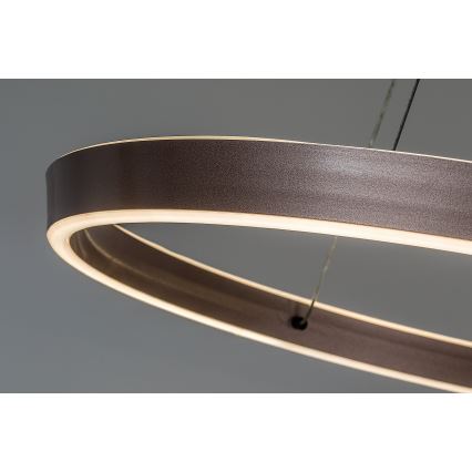 Rabalux - LED luster na sajli s prigušivanjem LED/36W/230V 3000-6500K + daljinski upravljač
