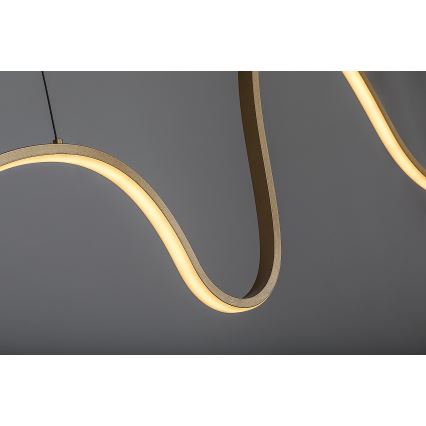 Rabalux - LED viseći luster na kabelu LED/20W/230V 3000K
