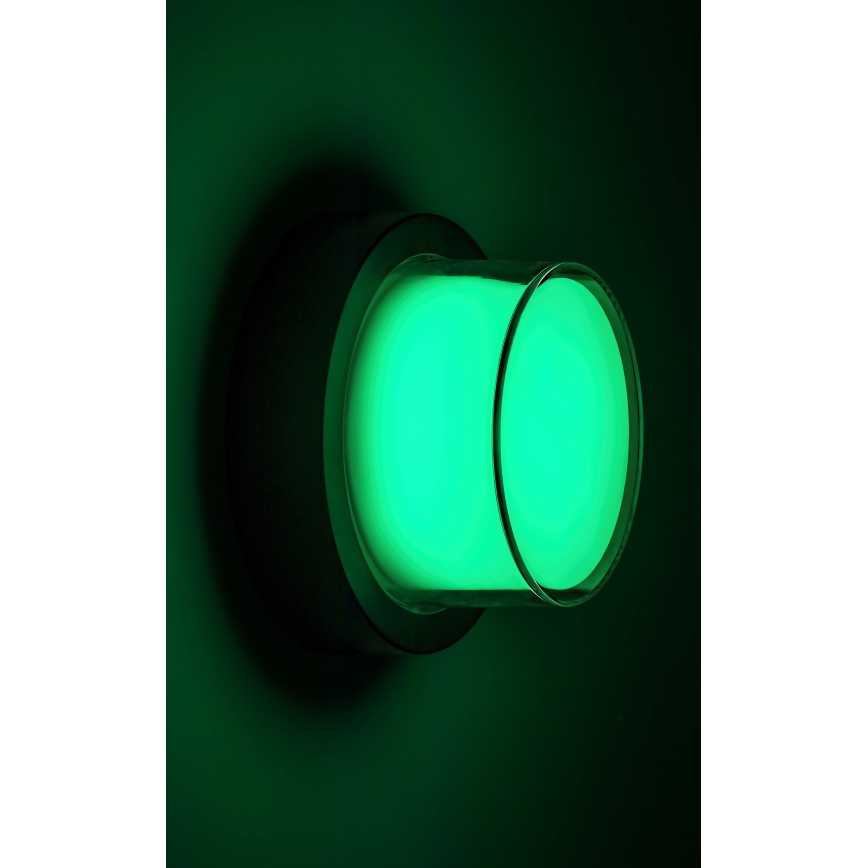 Rabalux - LED RGBW Prigušiva vanjska zidna svjetiljka LED/10W/230V IP54 Wi-Fi Tuya