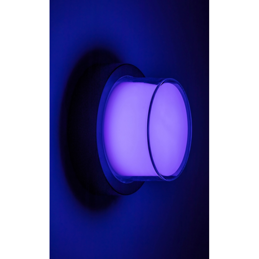 Rabalux - LED RGBW Prigušiva vanjska zidna svjetiljka LED/10W/230V IP54 Wi-Fi Tuya
