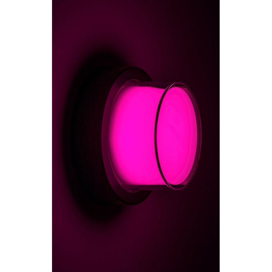 Rabalux - LED RGBW Prigušiva vanjska zidna svjetiljka LED/10W/230V IP54 Wi-Fi Tuya