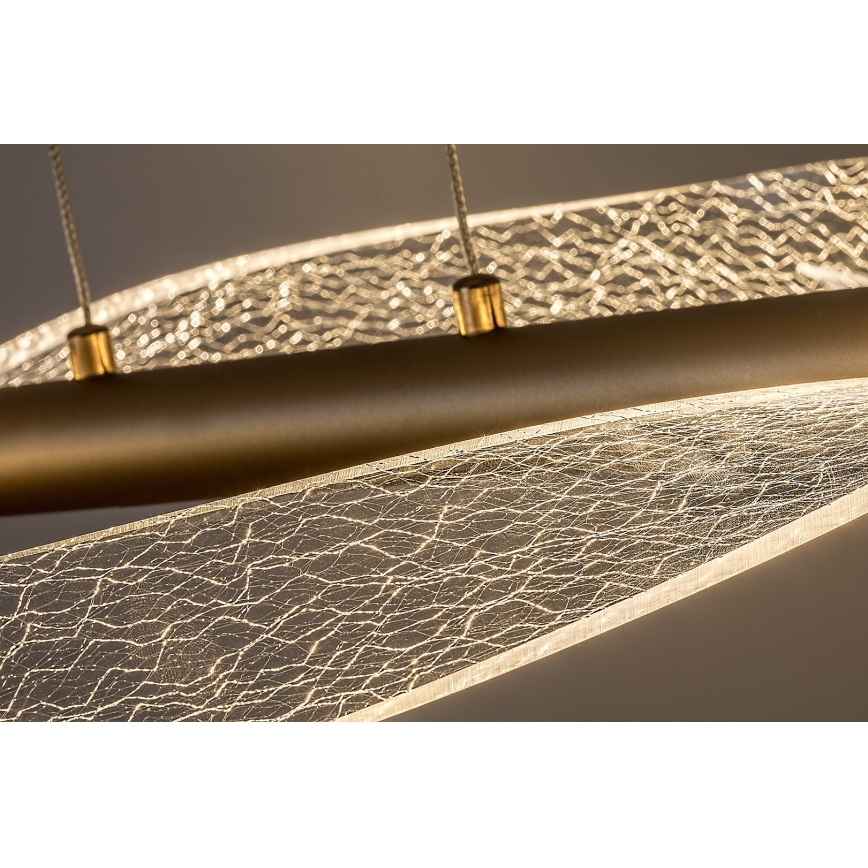 Rabalux - LED luster na sajli LED/24W/230V 3000K