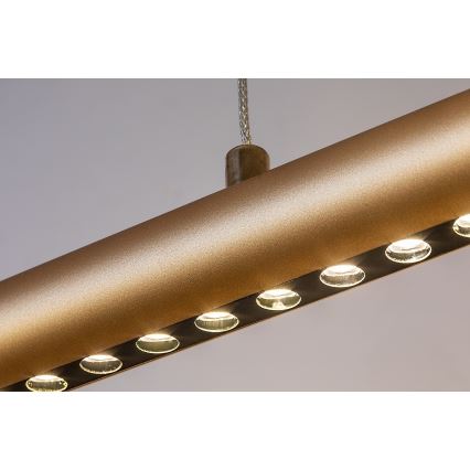 Rabalux - LED luster na sajli LED/24W/230V 3000K