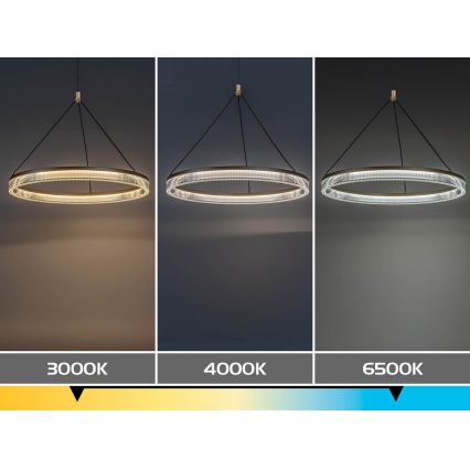 Rabalux - LED prigušivi luster na sajli LED/24W/230V 3000-6500K + daljinski upravljač