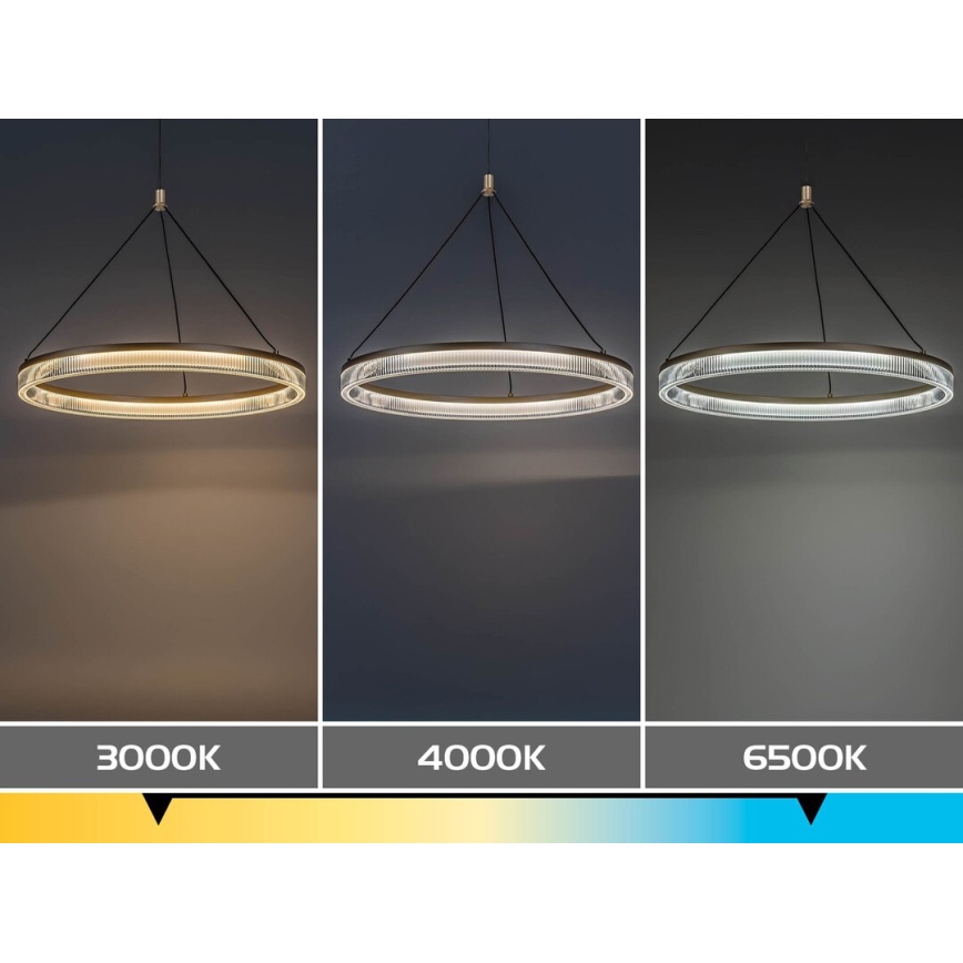 Rabalux - LED prigušivi luster na sajli LED/24W/230V 3000-6500K + daljinski upravljač