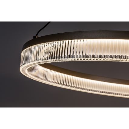 Rabalux - LED prigušivi luster na sajli LED/24W/230V 3000-6500K + daljinski upravljač