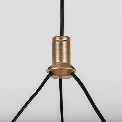 Rabalux - LED prigušivi luster na sajli LED/24W/230V 3000-6500K + daljinski upravljač