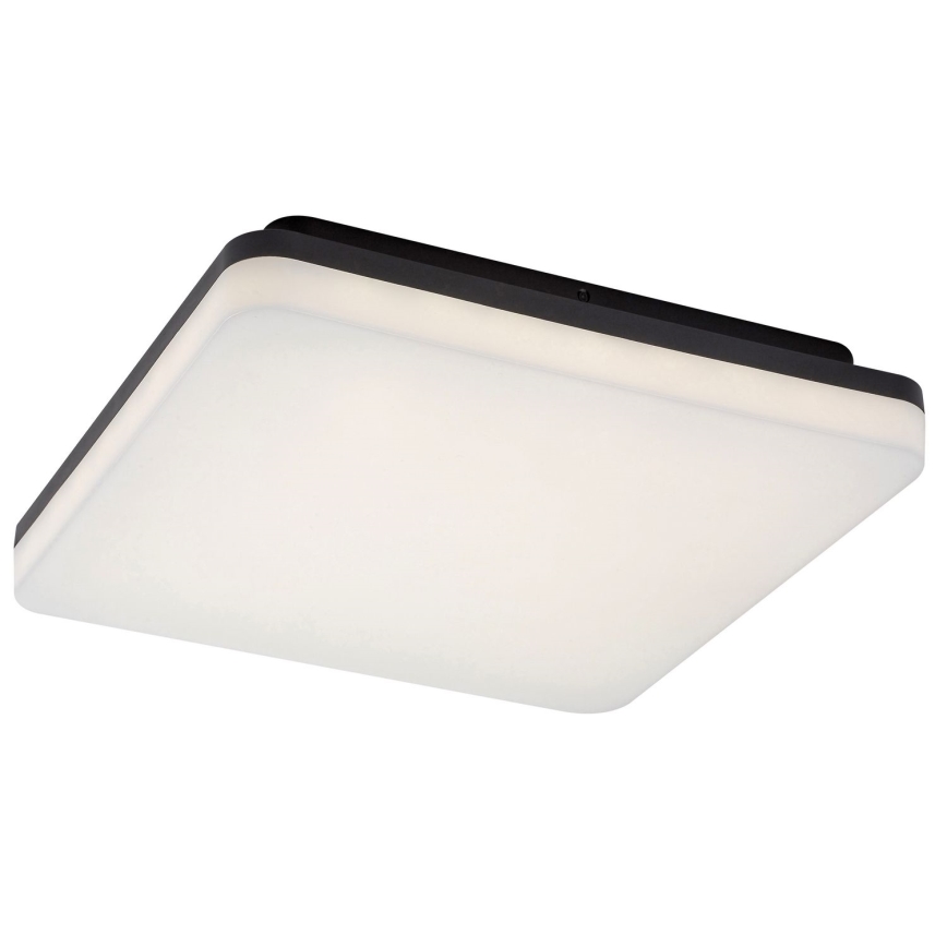 Rabalux - LED kupaonsko stropno svjetlo LED/24W/230V IP54 28x28 cm