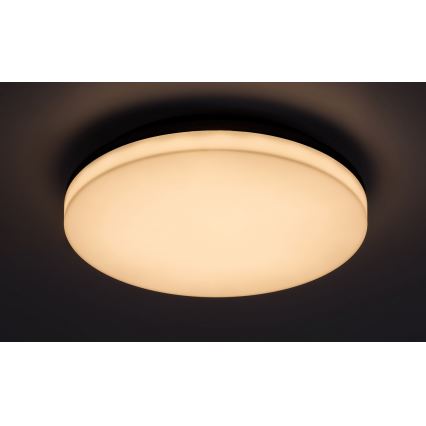 Rabalux - LED Stropna svjetiljka za kupaonicu LED/24W/230V IP54