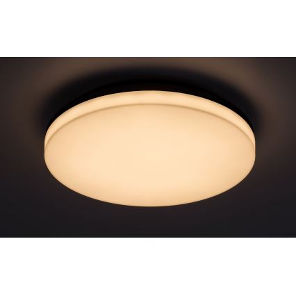 Rabalux - LED Stropna svjetiljka za kupaonicu LED/24W/230V IP54