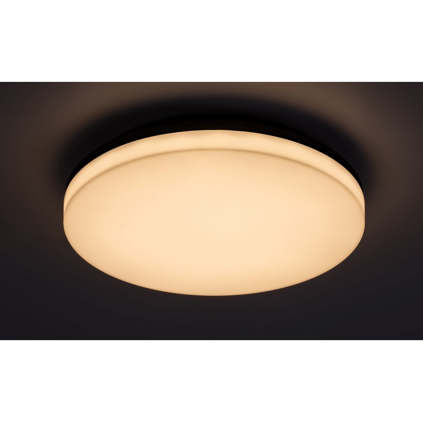 Rabalux - LED Stropna svjetiljka za kupaonicu LED/24W/230V IP54