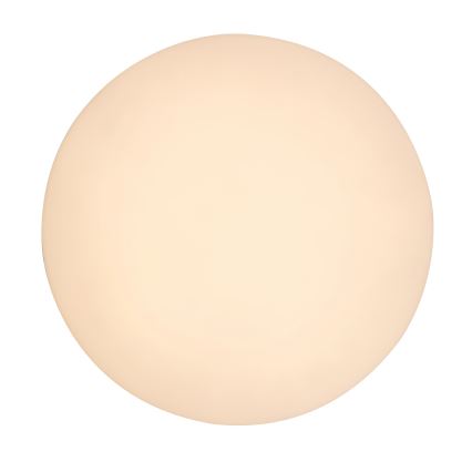 Rabalux - LED kupaonsko stropno svjetlo LED/24W/230V IP54 Ø 28 cm